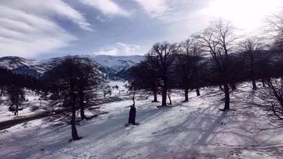 The Valley Residences & Spa, Bakuriani, apt 210_8