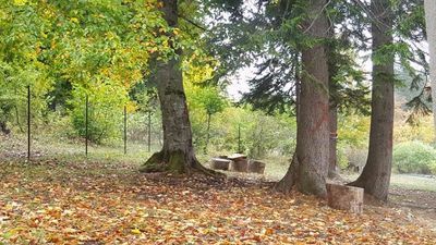 PANORAMA BAKURIANI_4