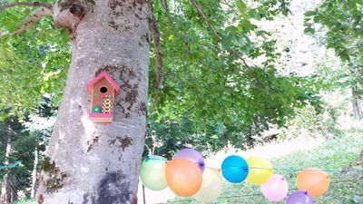 PANORAMA BAKURIANI_7