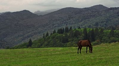 Guesthouse Manglisi_7