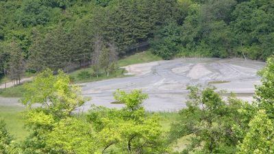 Guest House Gurjaani_6