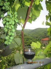 Cherqe Guest House_7