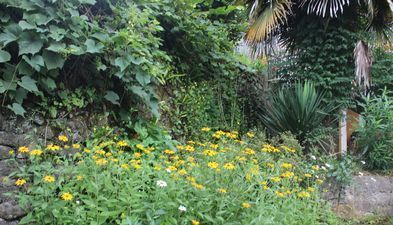 House in Makhinjauri_4