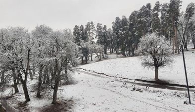 Bakuriani park residence apt 15_5