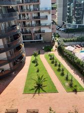 MGZAVREBI GONIO 502_4