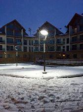 White tiger in new Gudauri II_3