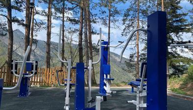 Green house in Borjomi_5