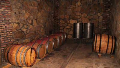 Shaloshvili's Cellar Hotel_6