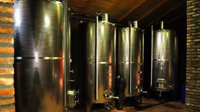 Shaloshvili's Cellar Hotel_7