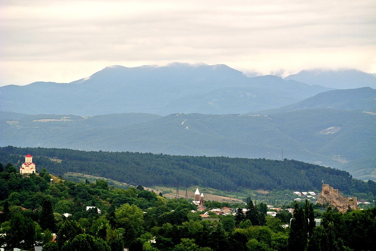 Guest houses in Surami