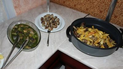 Travel Inn Bakuriani_8