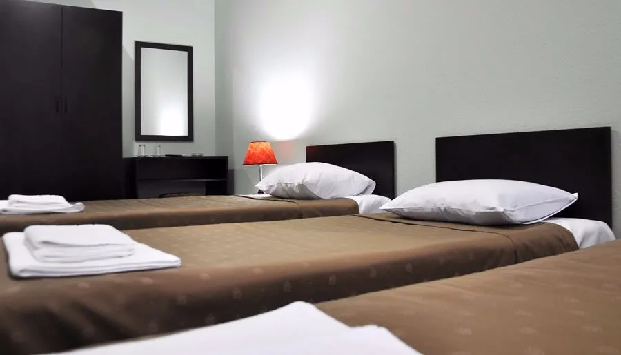 Hotel Shine Palace — Photo 41