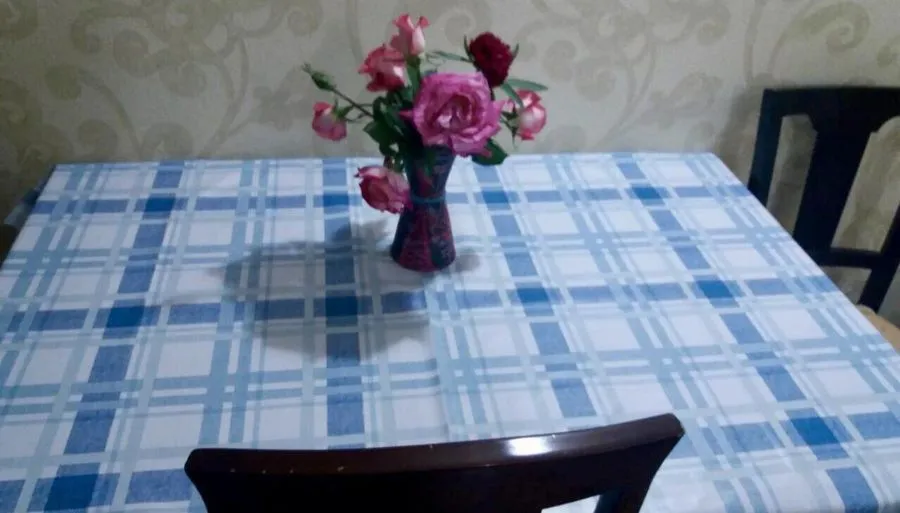 Fresh Apartment — Photo 23