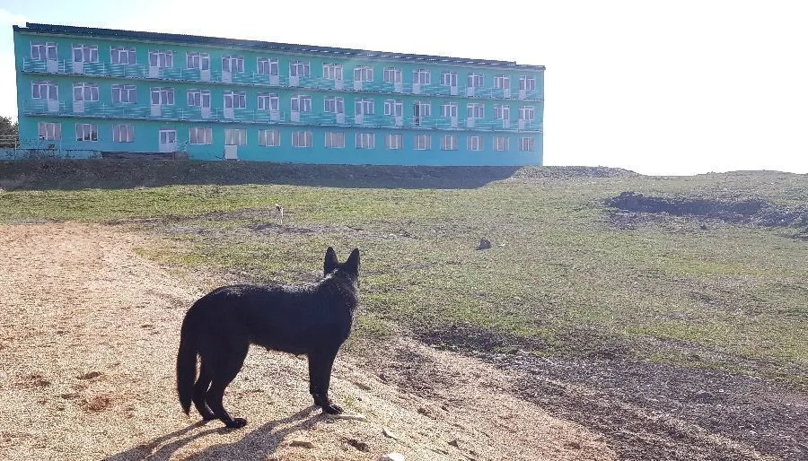 Tsalka — Photo 16