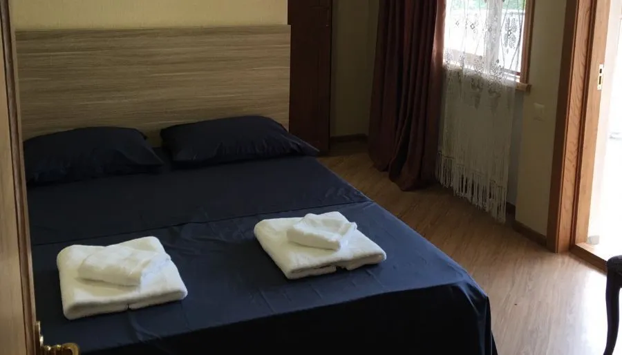 Center Villa Kutaisi — Photo 31