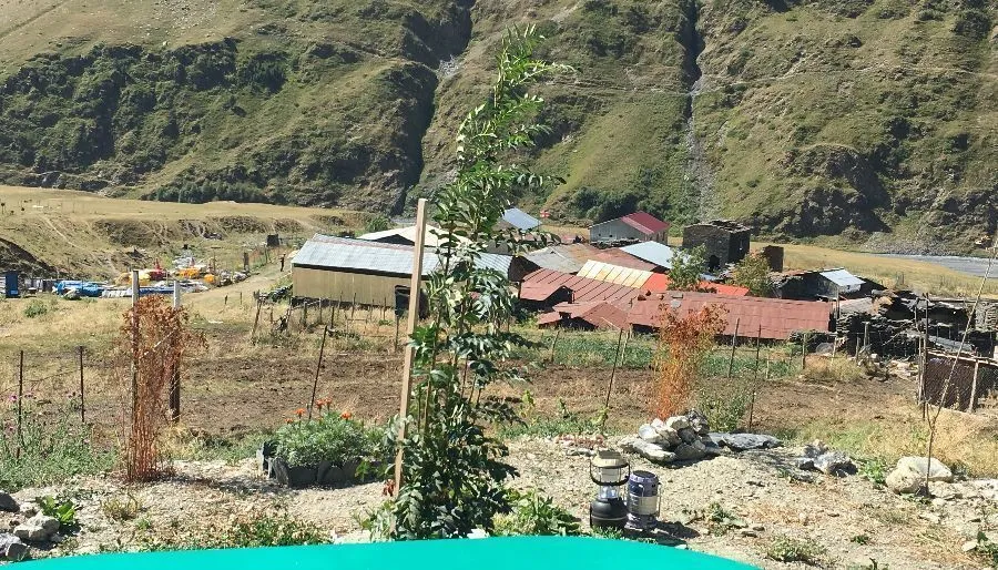 Qerigo — Photo 14