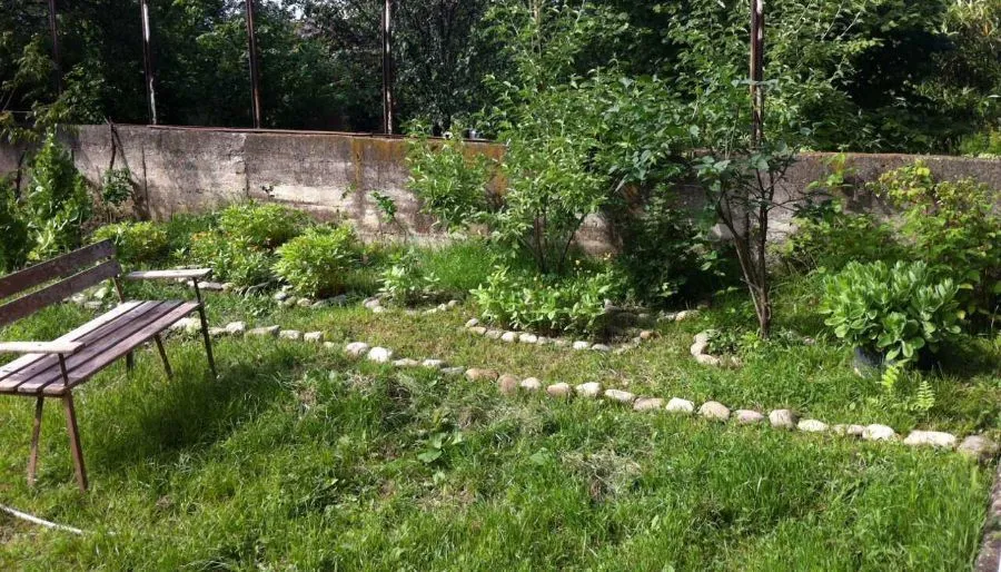 Telavi XXI — Photo 19