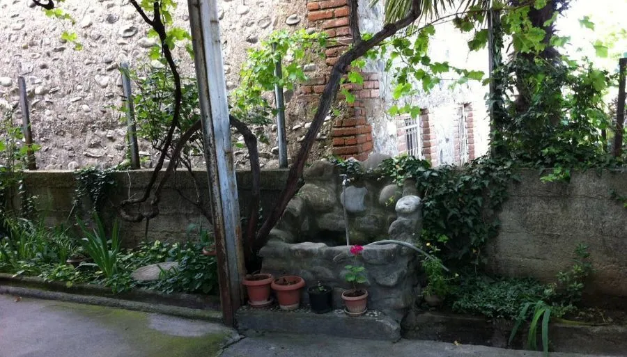 Telavi XXI — Photo 10