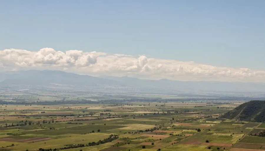 Telavi XXI — Photo 9