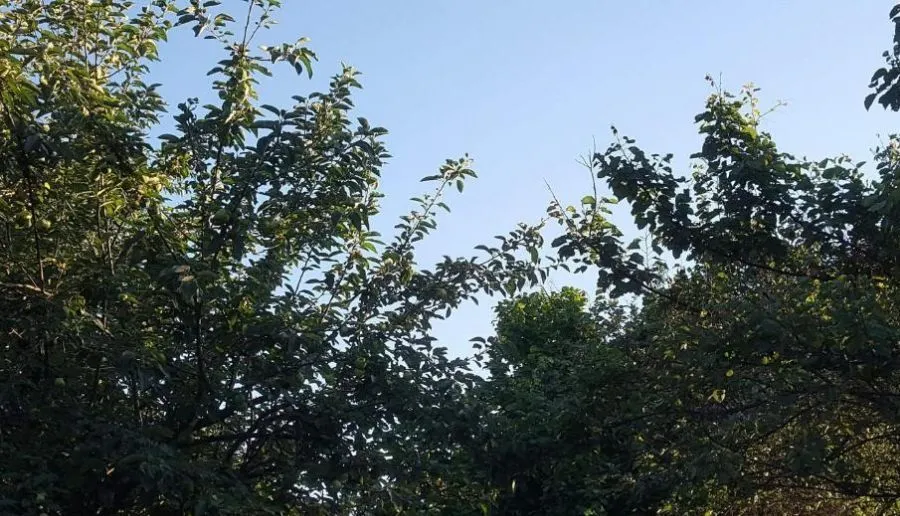Kakhimeri — Photo 9