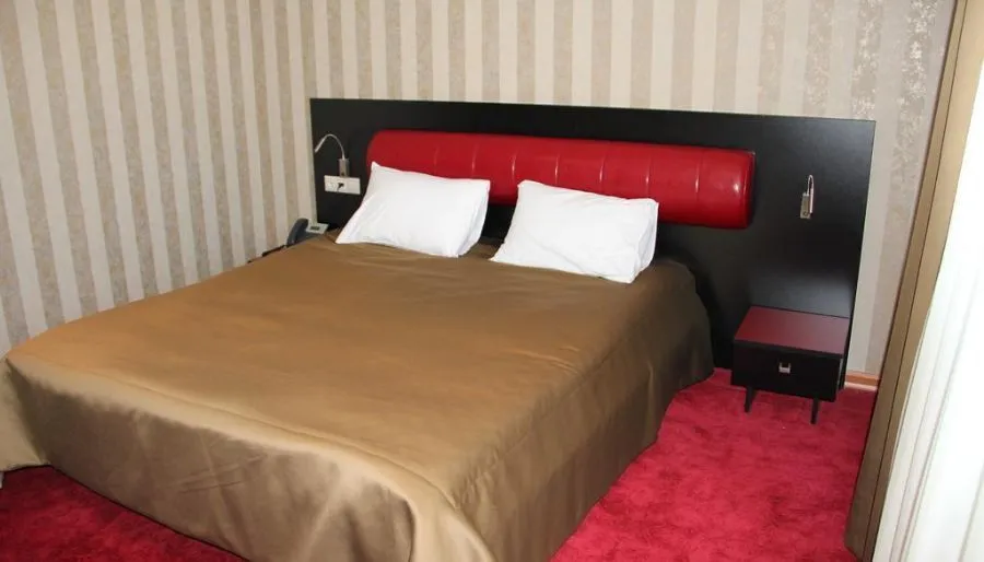 Hotel Villa Palace — Photo 43
