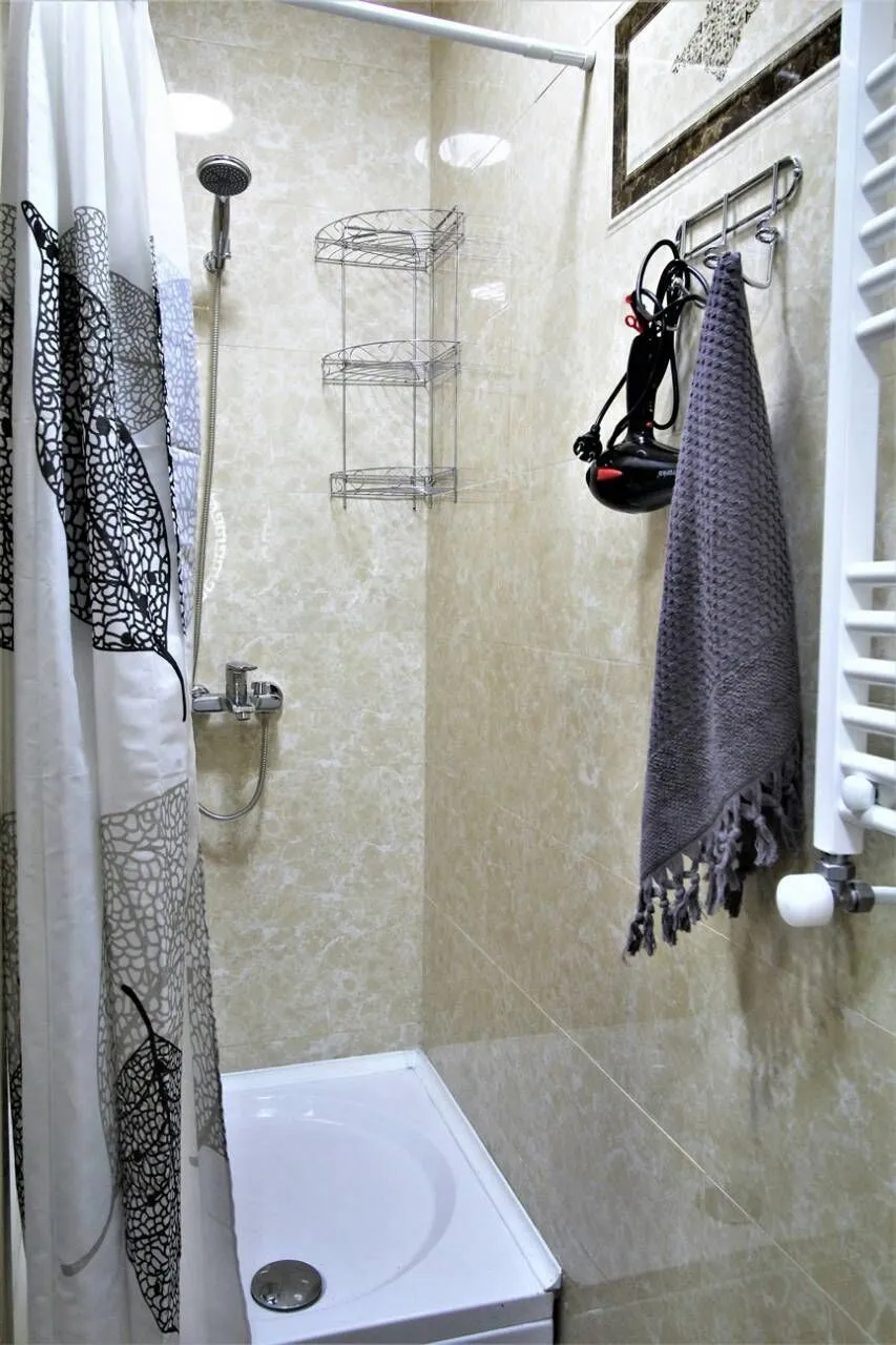 Apartment Akhaltsikhe street 5 — Photo 29