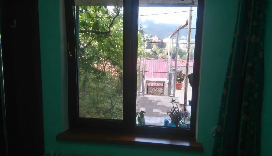 Old Green House — Photo 14