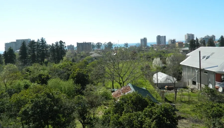 Neli Guest House — Photo 23