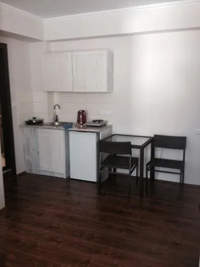 Mgzavrebi Bakuriani apt 102 — Photo 12