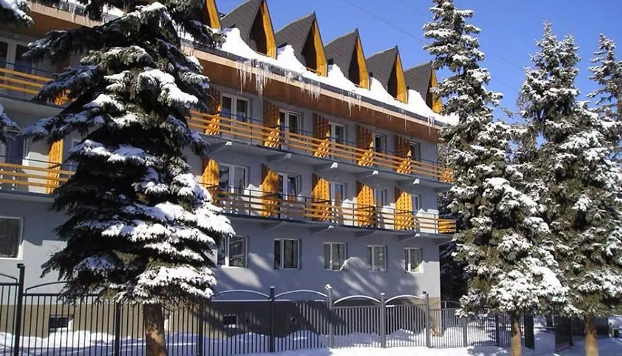 Hotel Tbilisi in Bakuriani — Photo 15