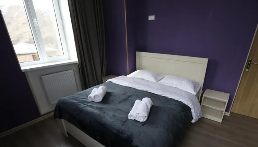 Hotel NOA Kazbegi — Photo 62