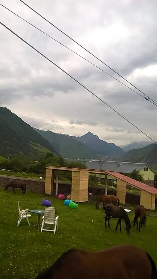 Hotel NOA Kazbegi — Photo 38