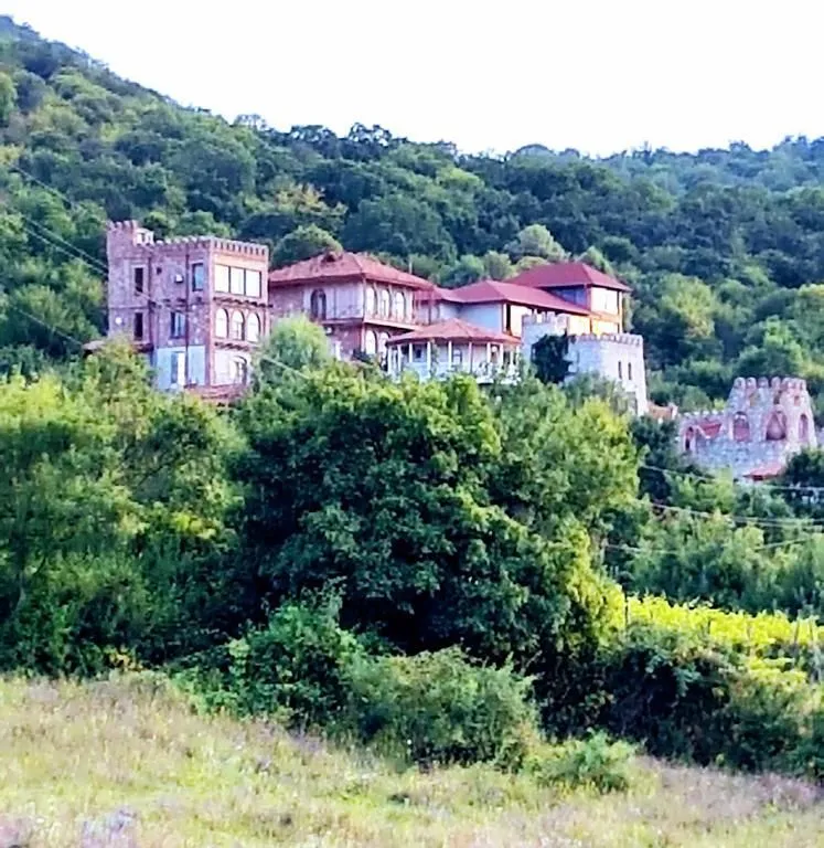 Lika's Guesthouse — Photo 14