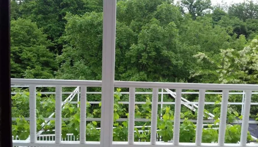 House in the nature — Photo 6