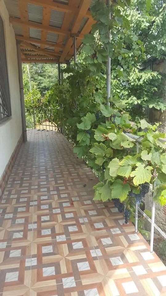 Quiet House — Photo 10