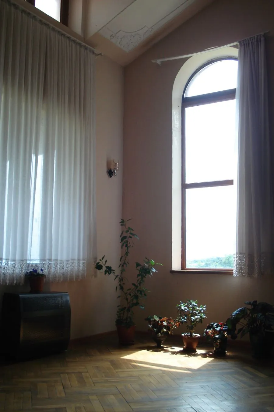 House in the forest — Photo 22
