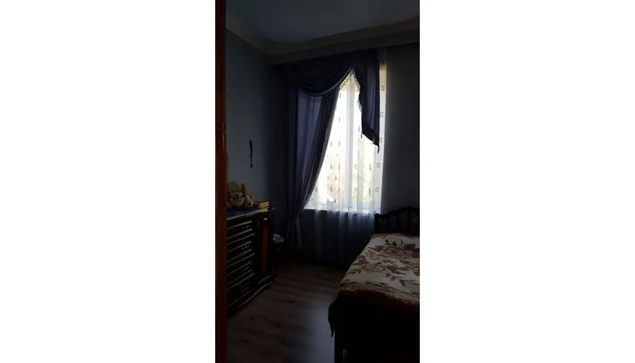 Green House — Photo 11