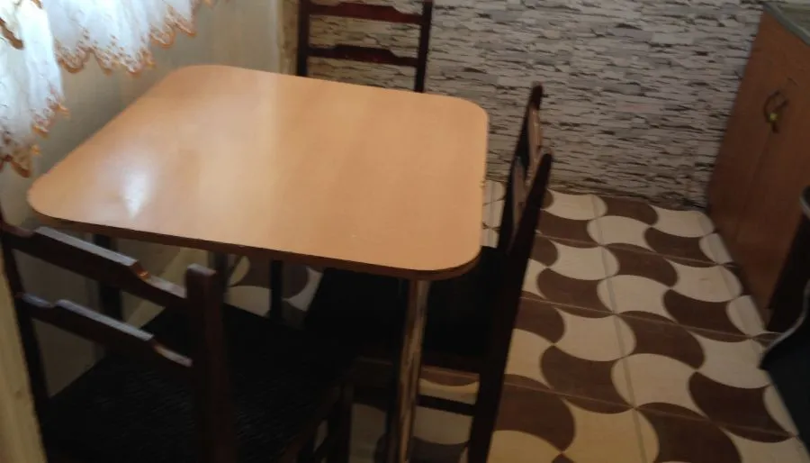 Nika — Photo 8