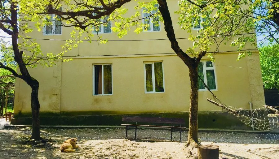 Butichi Guest house — Photo 12
