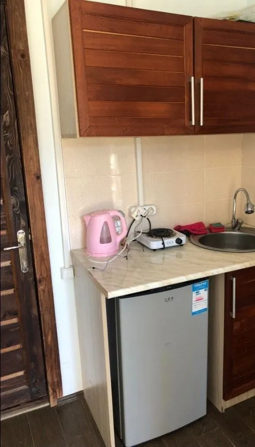 Mgzavrebi Apt 107 — Photo 11
