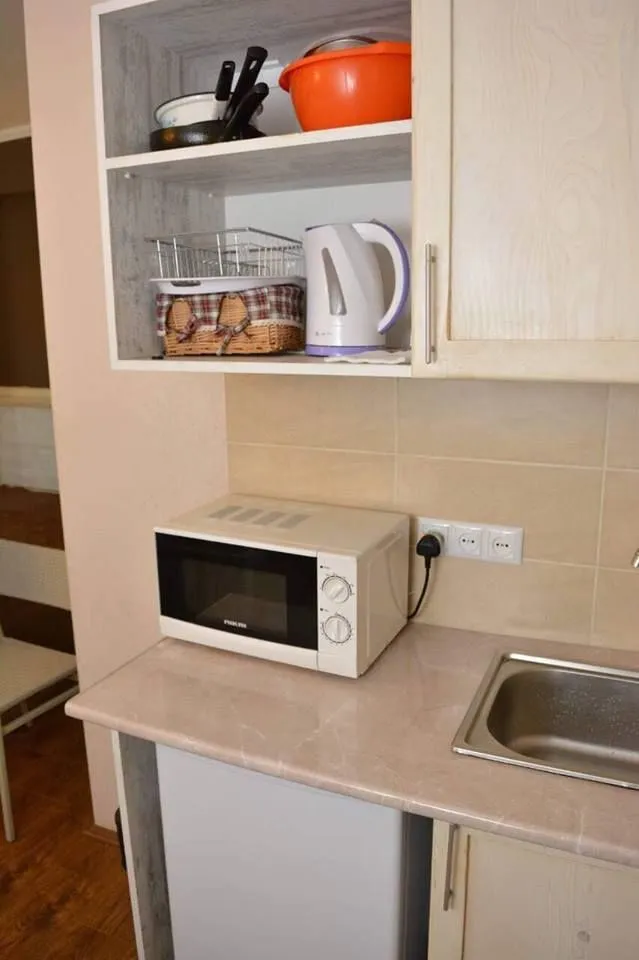 Mgzavrebi Bakuriani block 6 apt 311 — Photo 9