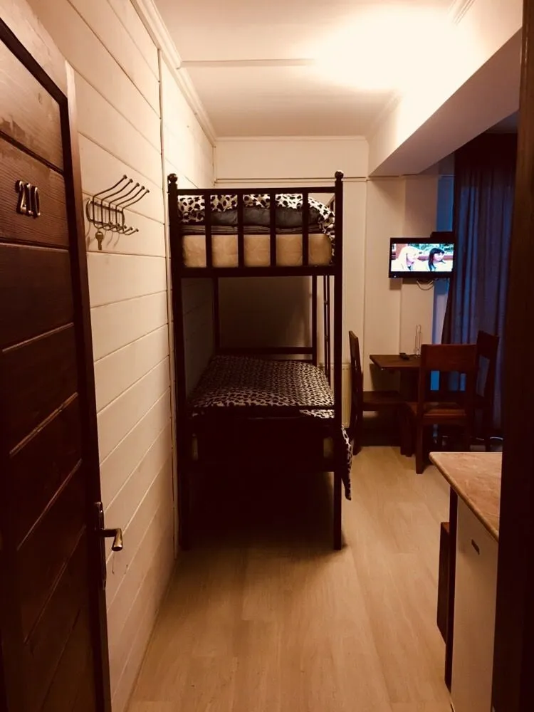Mgzavrebi Apt 210 — Photo 12