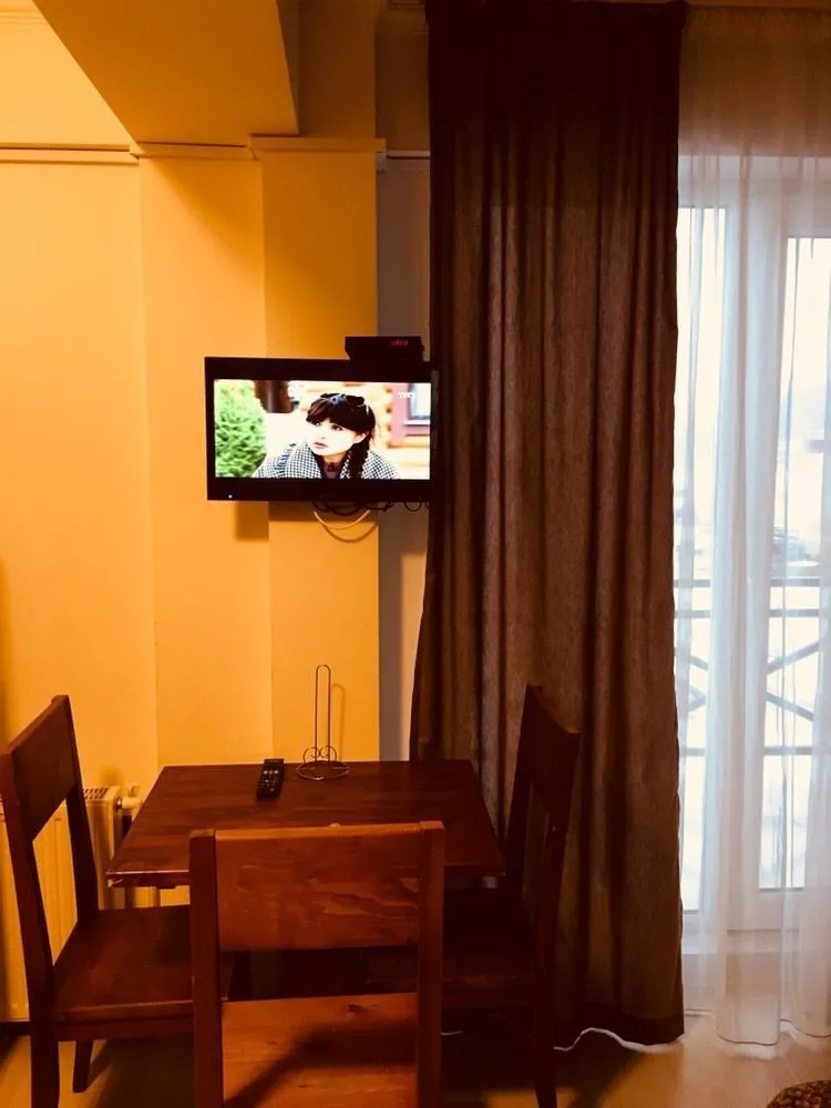 Mgzavrebi Apt 210 — Photo 10