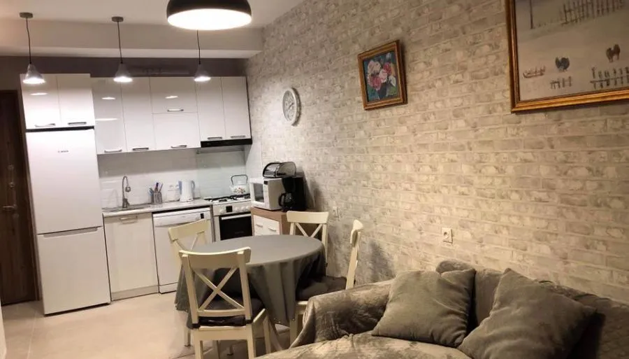 Bakuriani park residence apt 47 — Photo 31