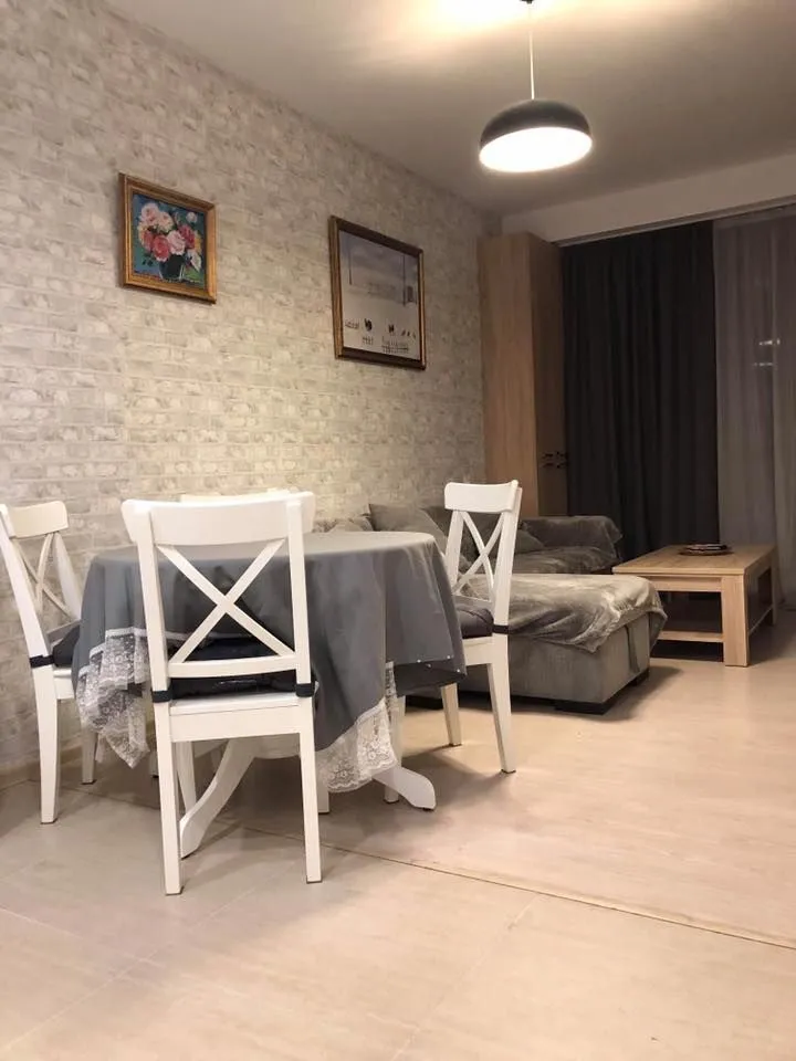 Bakuriani park residence apt 47 — Photo 17