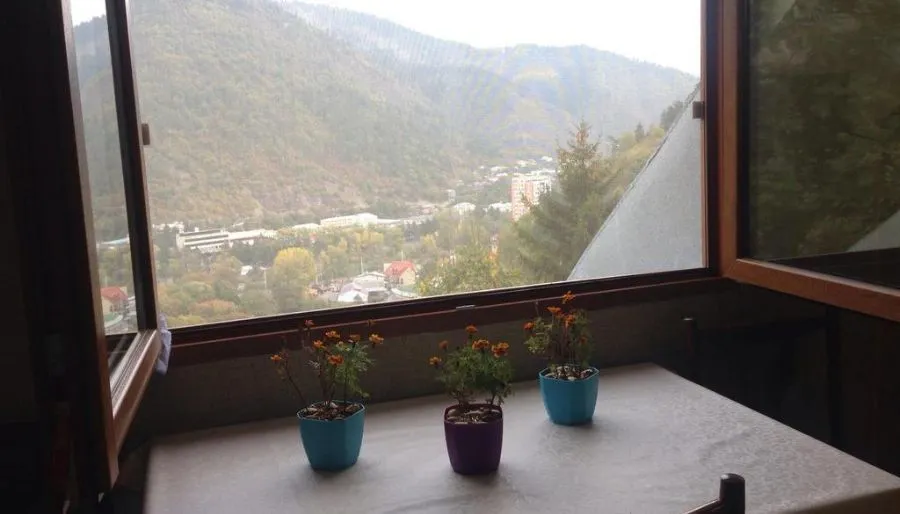 Anano's Guesthouse — Photo 13