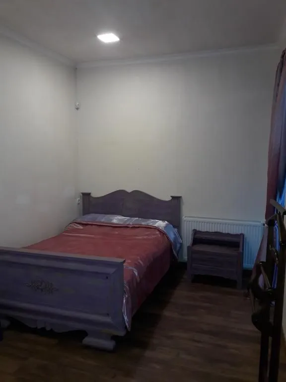 Sweet Home Bakuriani — Photo 46
