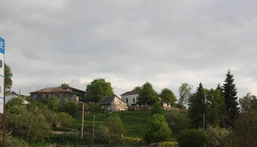 Sweet Home Bakuriani — Photo 26