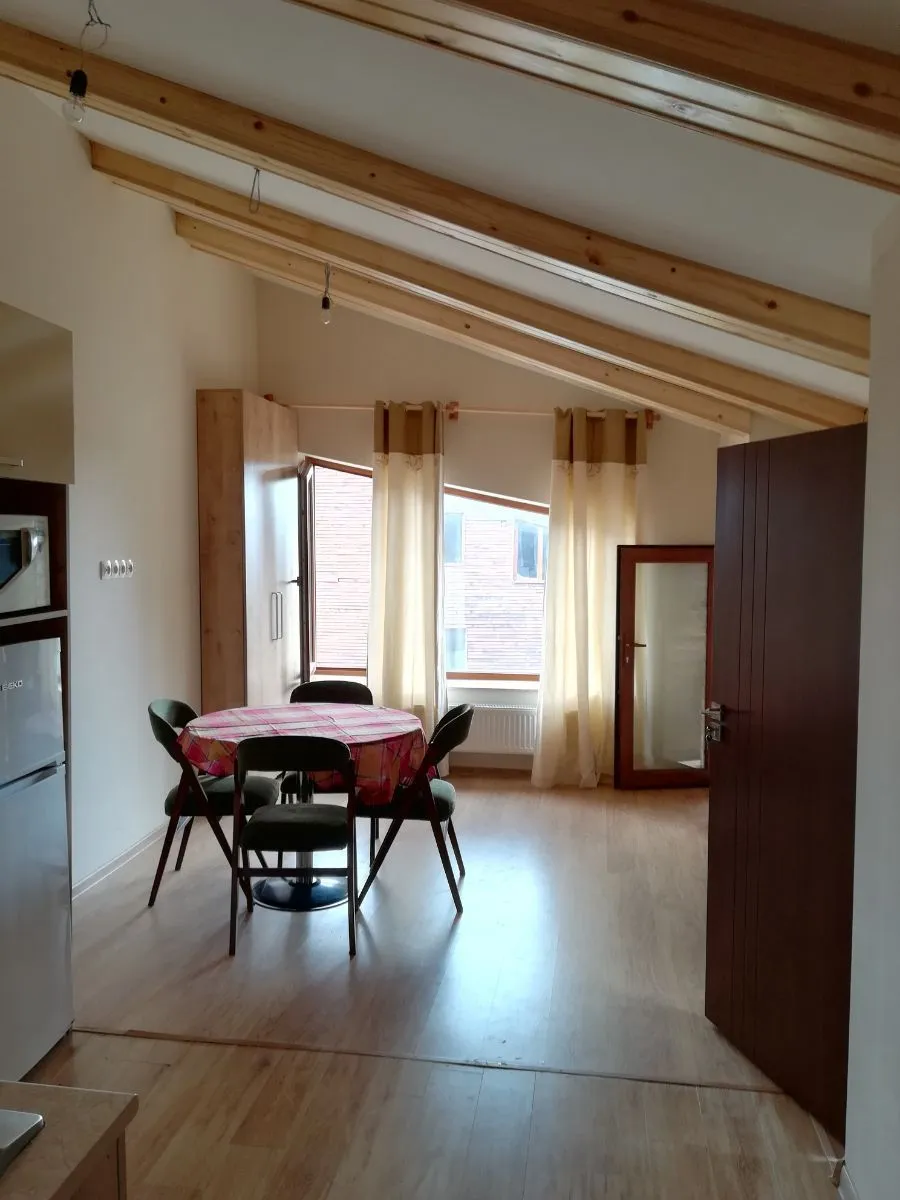 Villa Monte Bakuriani apt 17 — Photo 9