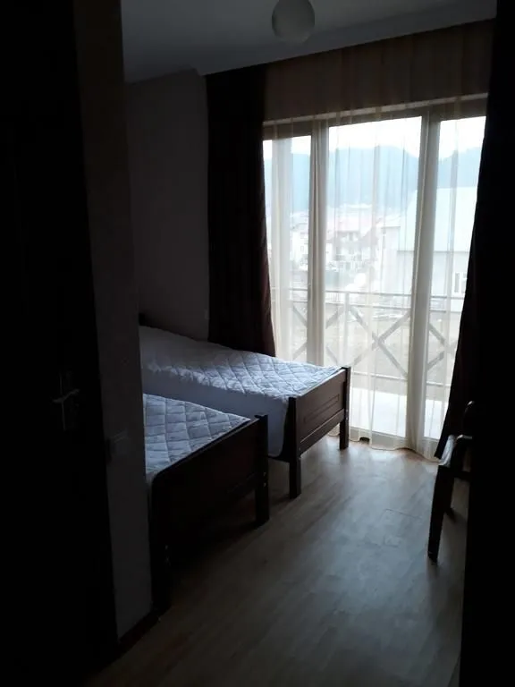 Villa Bakuriani — Photo 31